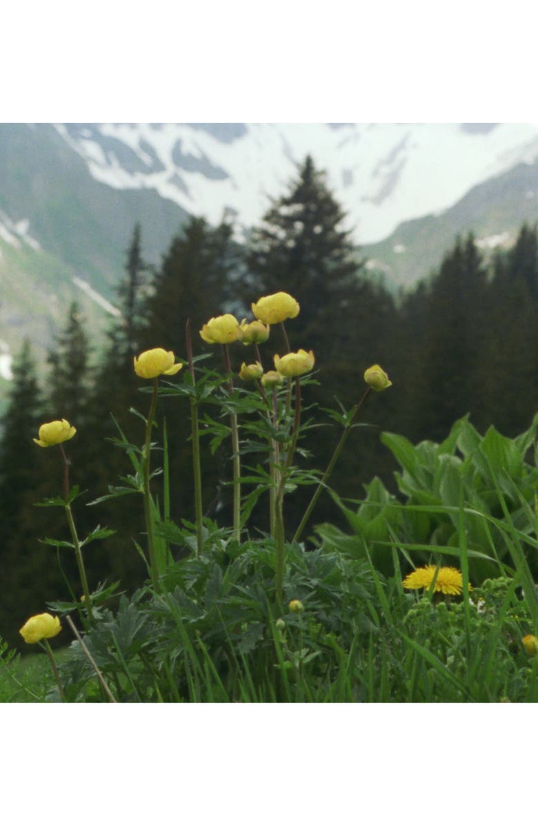 Susanne Kaufmann Byredo Bregenzerwald Fragrance Oil, Alternate, color, 