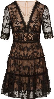 Adrianna Papell Embroidered Lace Minidress