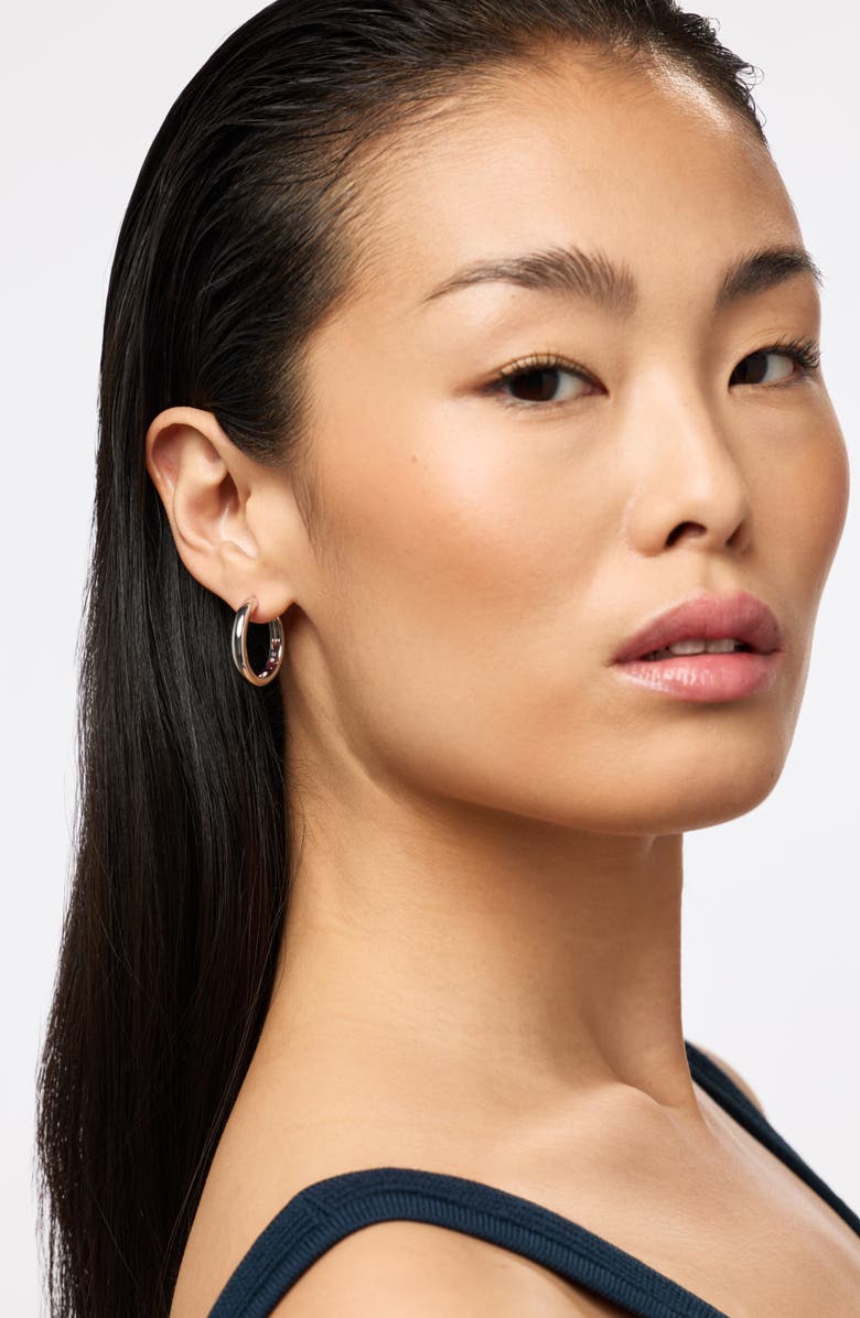 Ana Luisa Hoop Earrings - Giulia Large Silver, Alternate, color, Silver