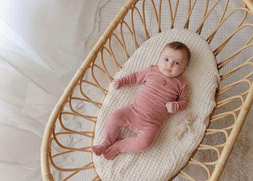 Ely's & Co. Velour Stripe Collection In Brown