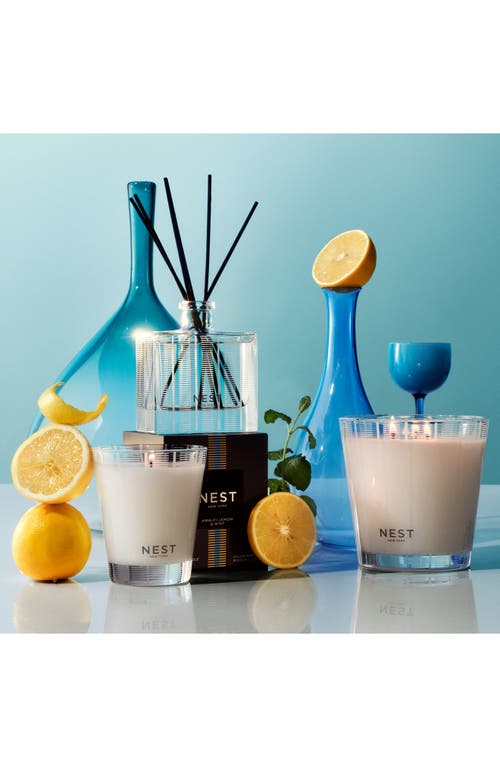Nest New York Amalfi Lemon & Mint Reed Diffuser In Transparent