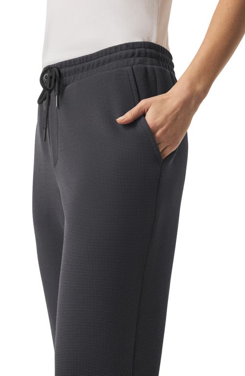 Splendid Tie Waist Waffle Stitch Scuba Joggers In Gray