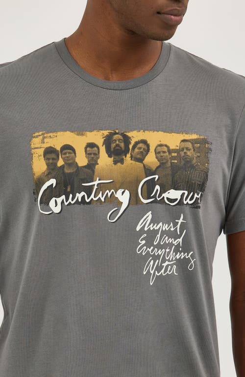 Wrangler Counting Crows Graphic T-shirt In Gray