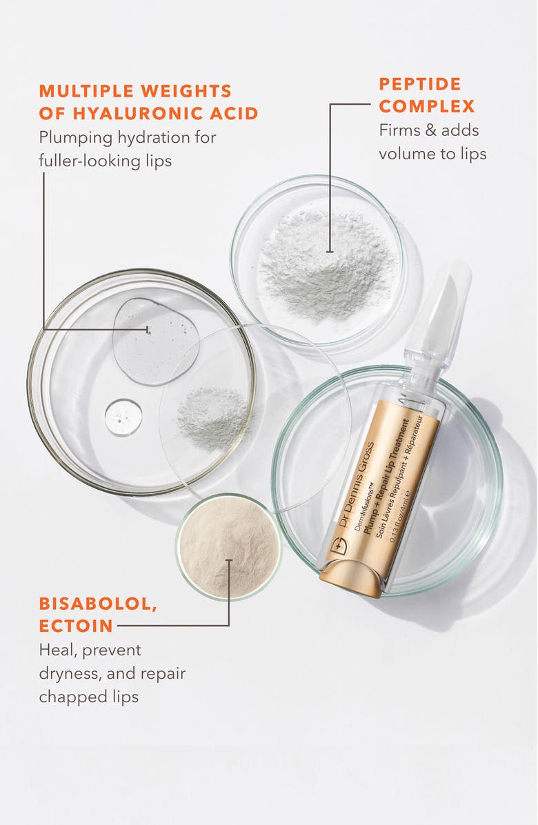 Dr. Dennis Gross Skincare Derminfusions<sup>™</sup> Plump + Repair Lip Treatment Ornament, Alternate, color, 