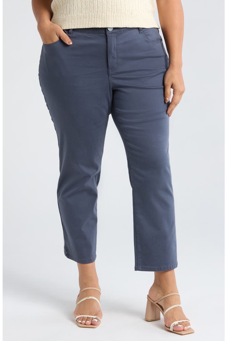 High Waist Ankle Straight Leg Pants, Main, color, SHADOW