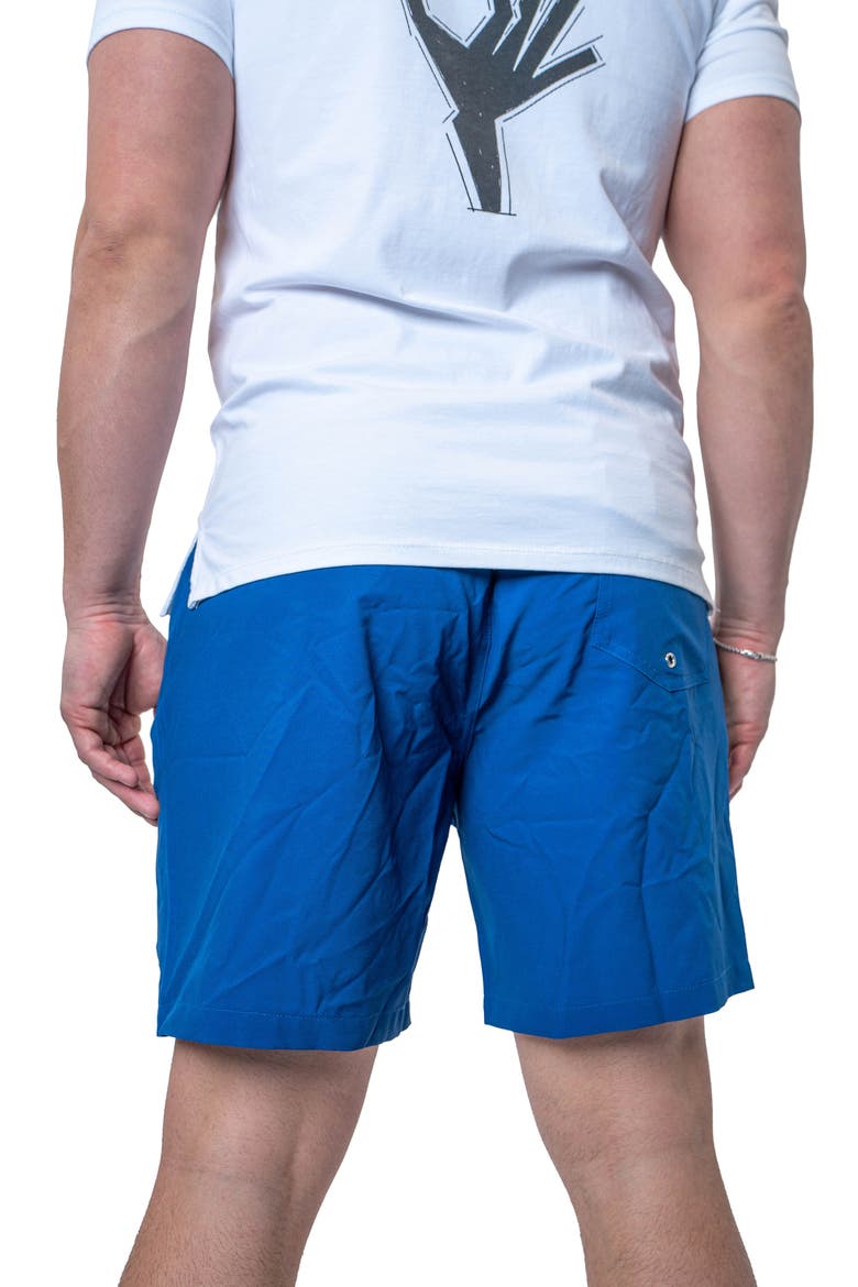 Lion Solid Blue Swim Trunks, Alternate, color, BLUE