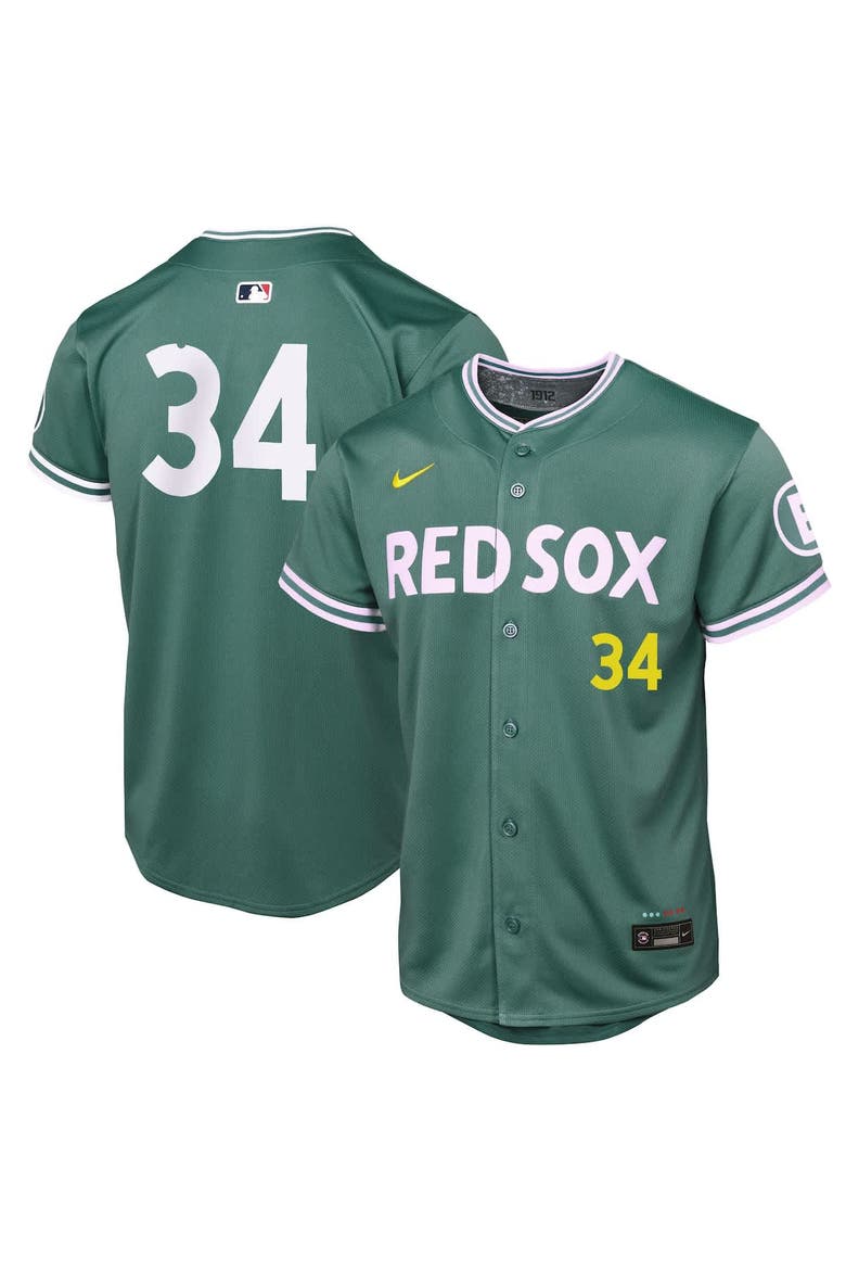Youth Nike David Ortiz Green Boston Red Sox 2025 City Connect Limited Retired Player Jersey, Main, color, Green