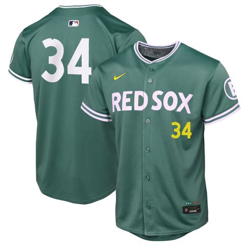 Youth Nike David Ortiz Green Boston Red Sox 2025 City Connect Limited Retired Player Jersey