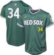 Nike Youth Nike David Ortiz Green Boston Red Sox 2025 City Connect Limited Retired Player Jersey