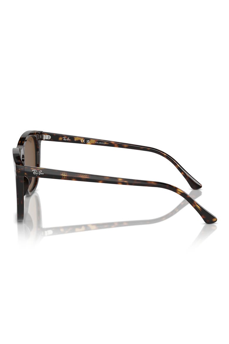 53mm Polarized Square Sunglasses, Alternate, color, HAVANA