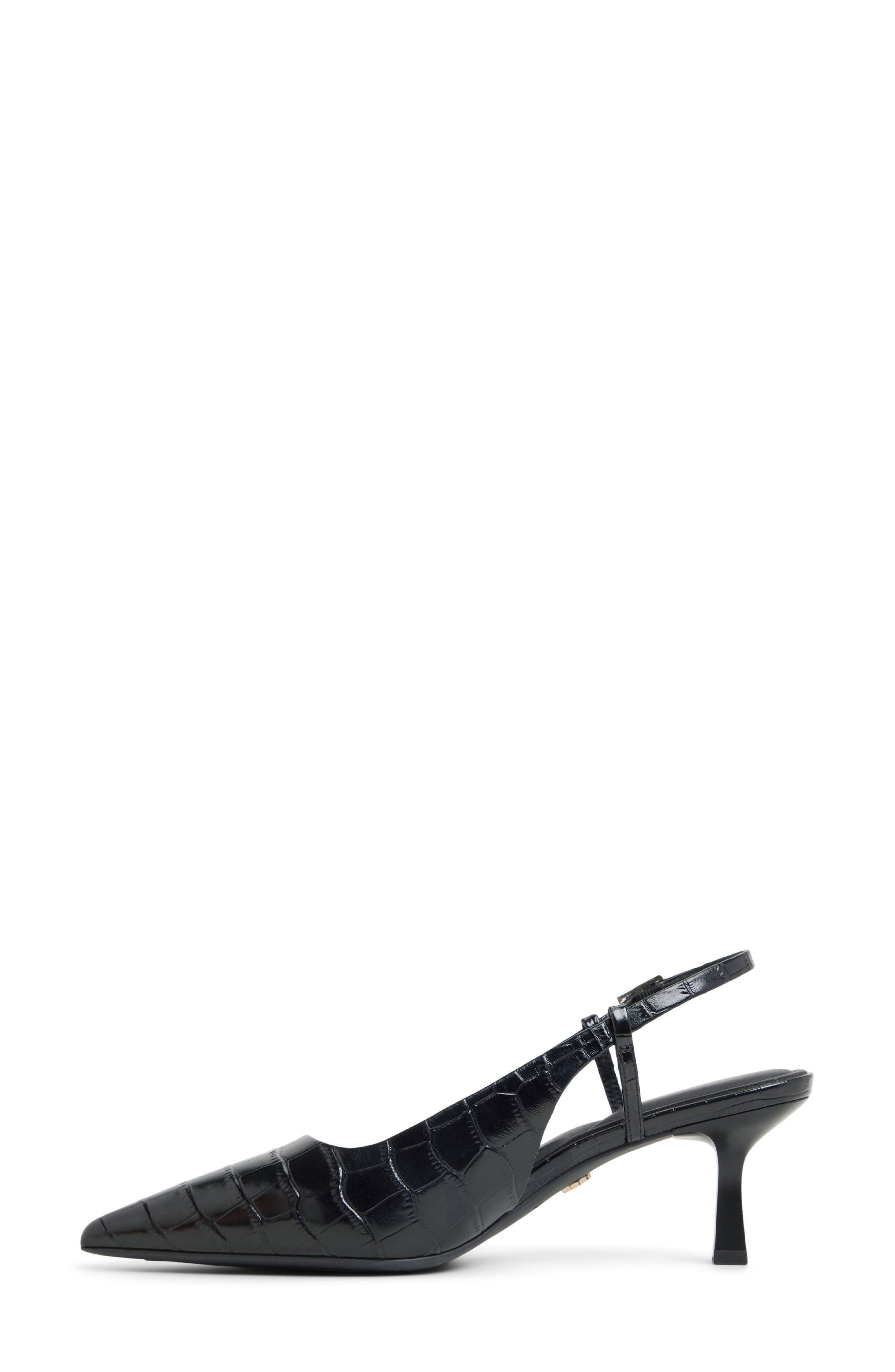 ALDO Adan Pointed Toe Slingback Pump, Alternate, color, Black