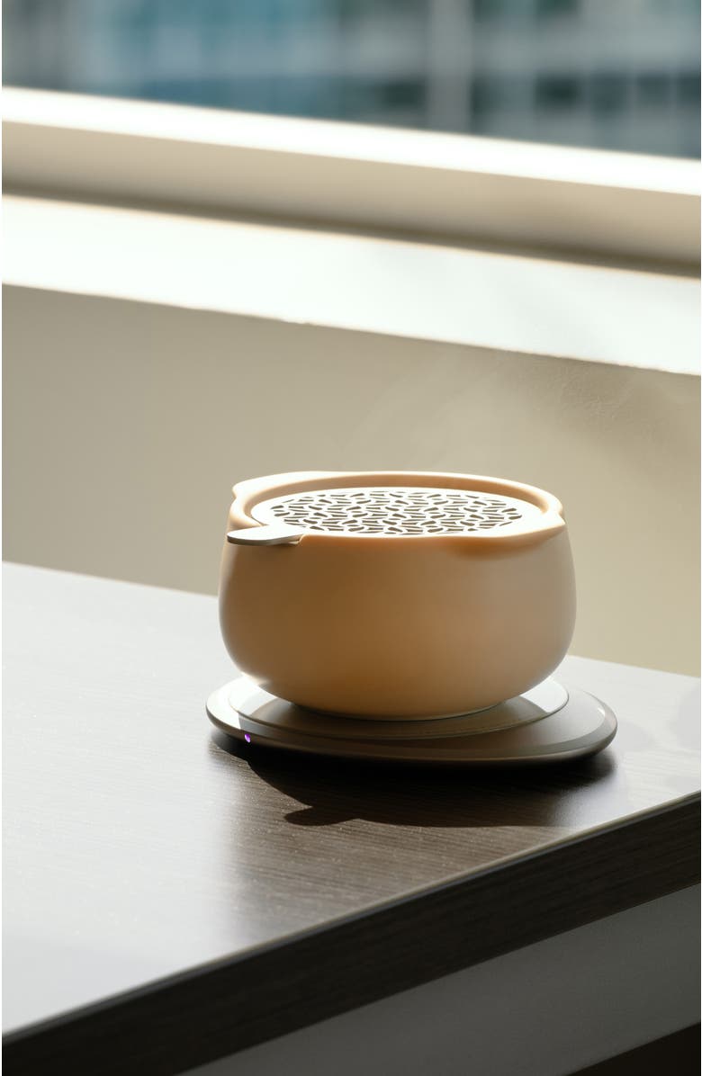 OHOM INC Jun Self-heating Diffuser Set, Alternate, color, Rosy Apricot