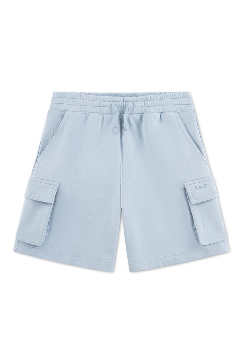 Kids' Ice Wash Cargo Shorts, Main, color, BLUE FOG
