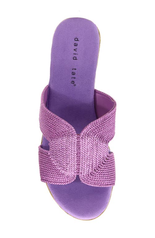 David Tate Vibe Wedge Slide Sandal In Purple