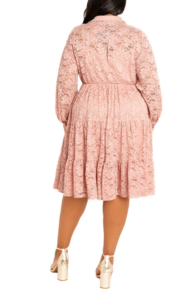 Lace Long Sleeve Shirtdress, Alternate, color, MAUVE