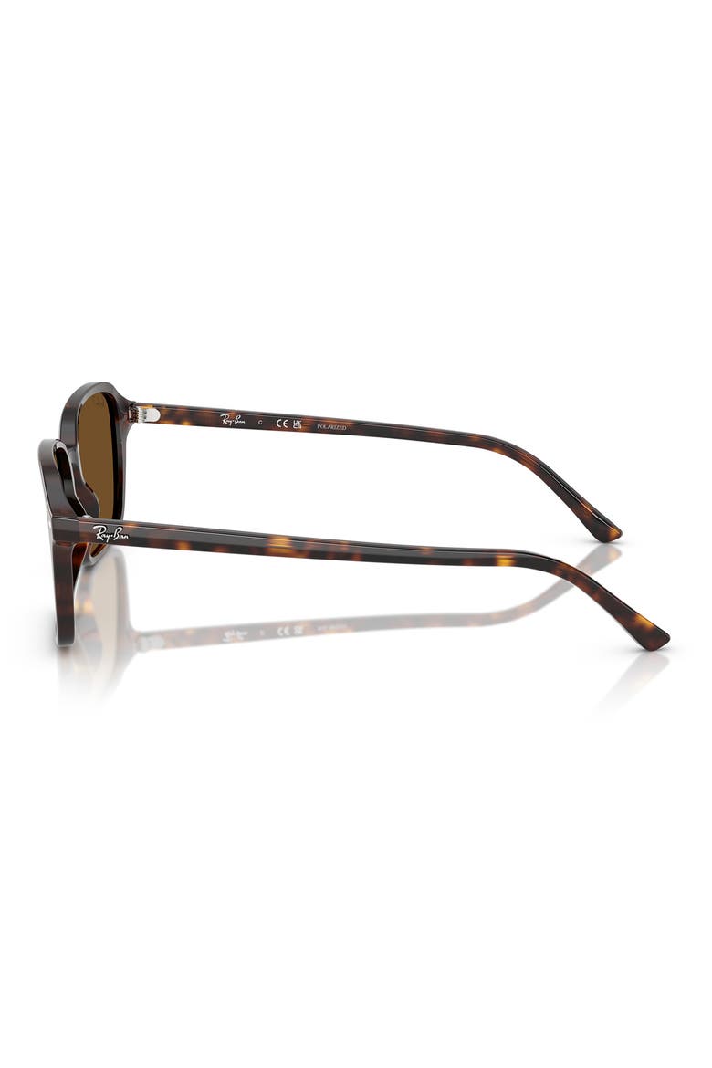 56mm Polarized Square Sunglasses, Alternate, color, HAVANA
