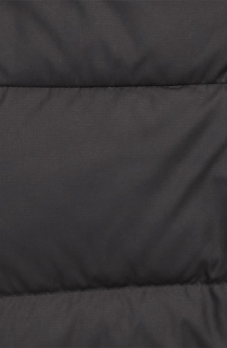 The North Face Moondoggy 2.0 Water Repellent 550 Fill Power Down Jacket, Alternate, color, 