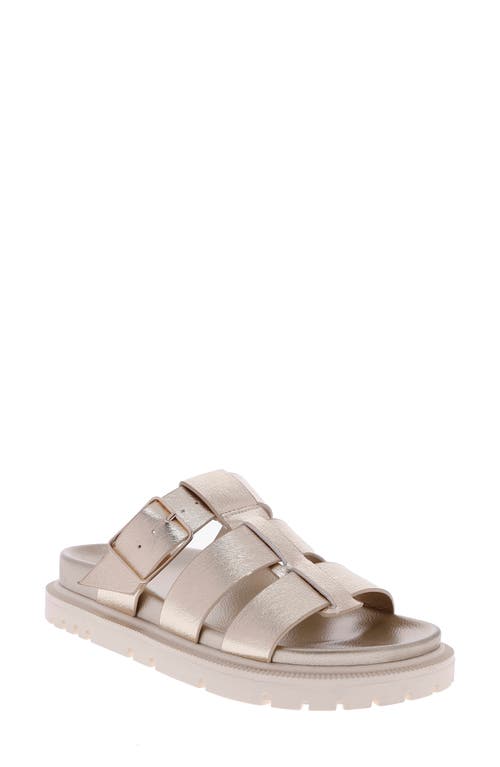 Mia Geni Slide Sandal In Gold