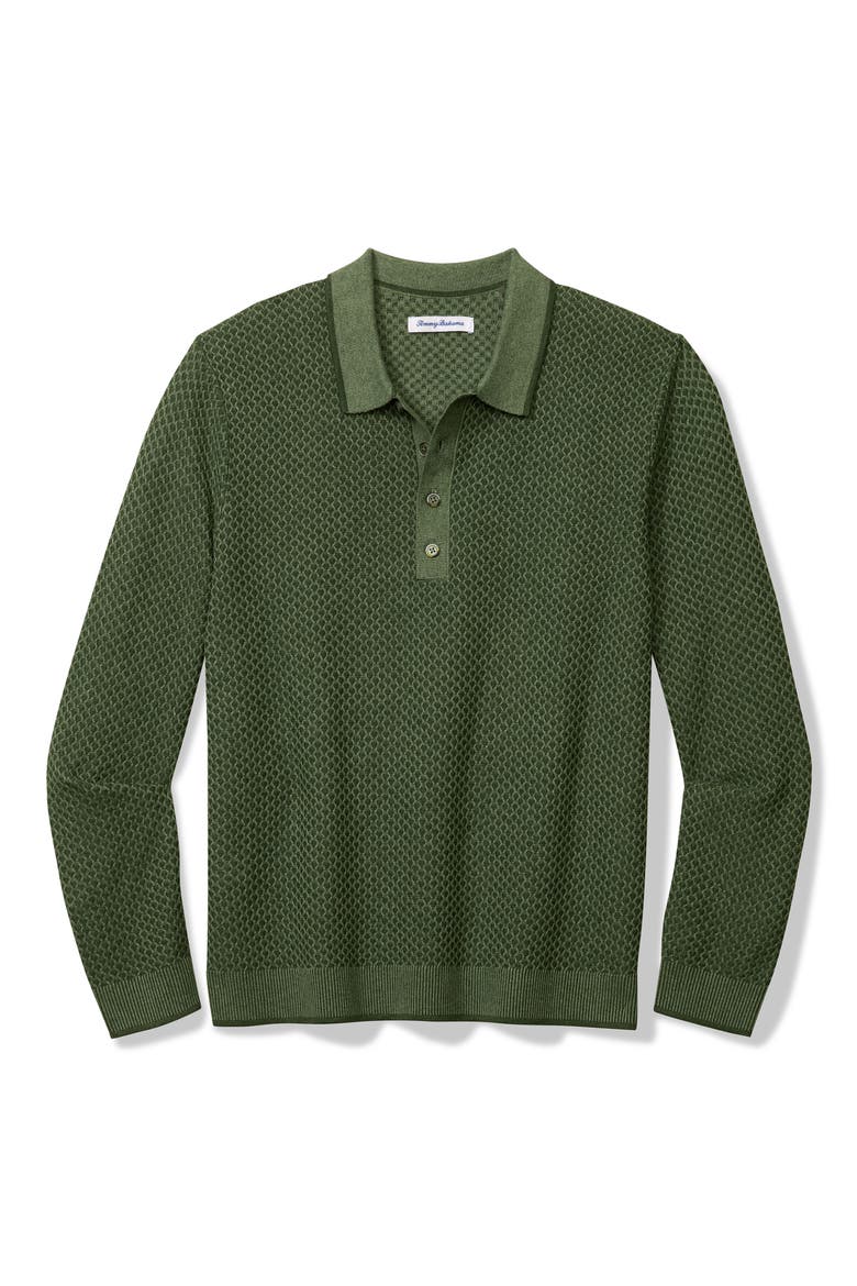 Coolside Valley Long Sleeve Polo Sweater, Main, color, CUCUMBER GREEN
