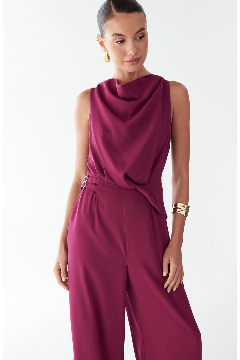 Dalia Jumpsuit, Alternate, color, Plum