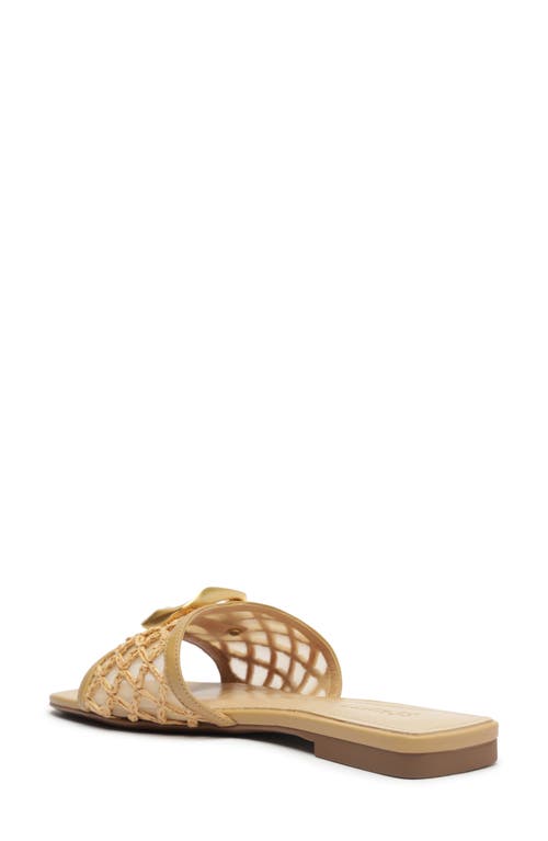 Shop Schutz Olga Slide Sandal