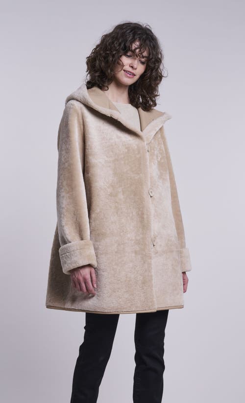 Blue Duck Genuine Shearling in Beige  product