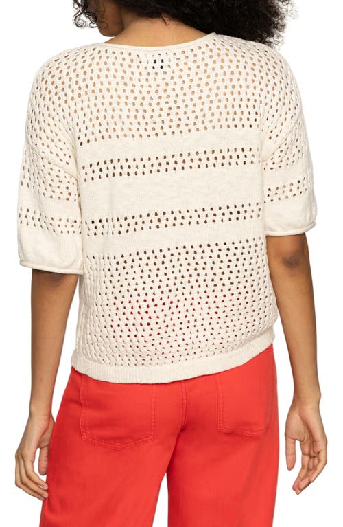 SANCTUARY SANCTUARY STRIPE OPEN STITCH ELBOW SLEEVE COTTON SWEATER 