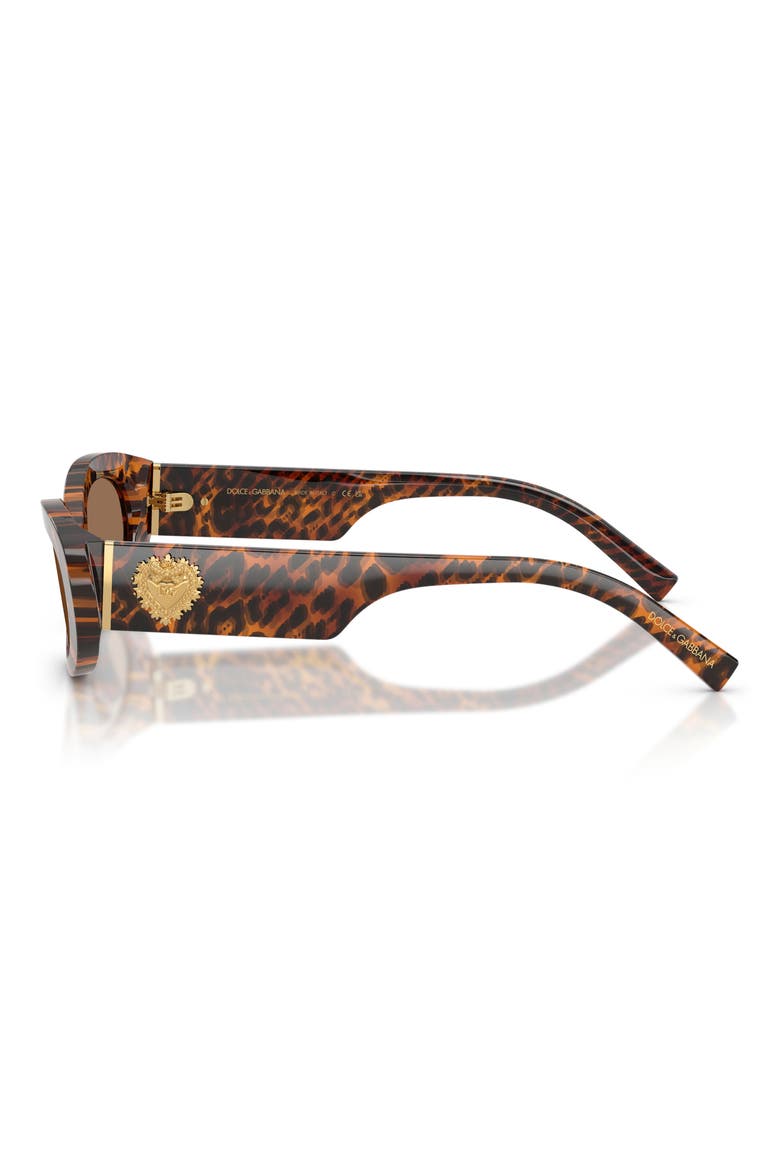 53mm Oval Sunglasses, Alternate, color, LEO TRANSPARENT / DARK BROWN