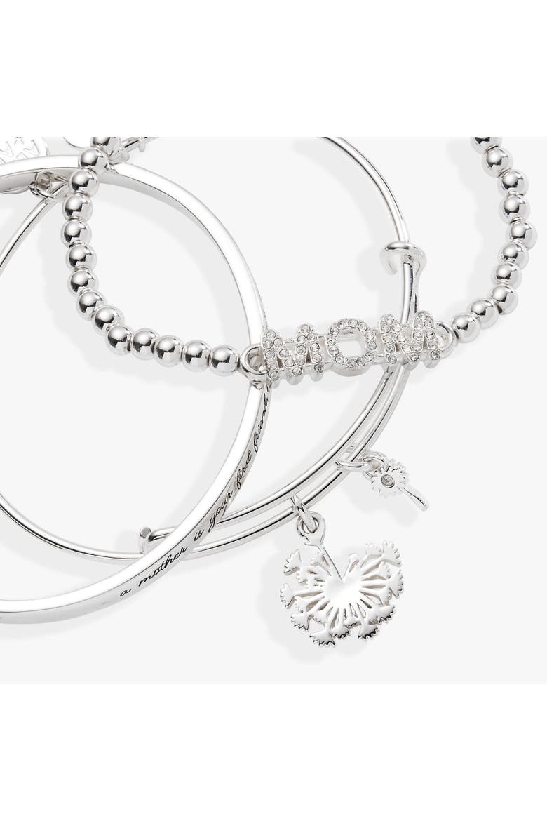 Mothers day ewb 3 set dandelion, Alternate, color, Silver