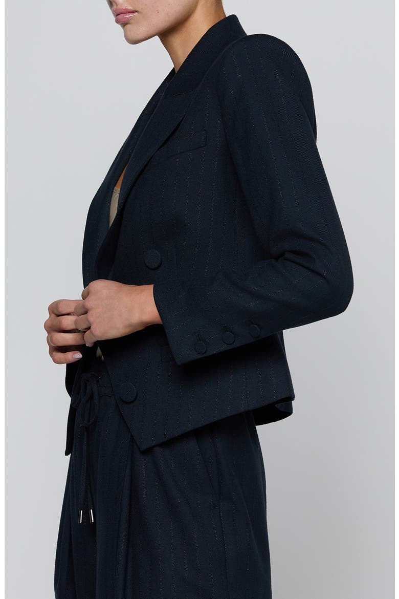 Risa Pinstripe Double Breasted Blazer, Alternate, color, MIDNIGHT LUREX PINSTRIPE