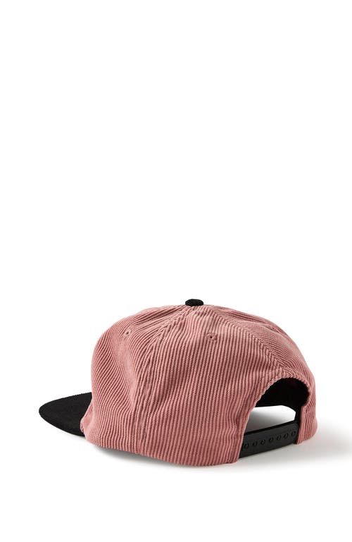 Cotton On 6 Panel Ball Cap
