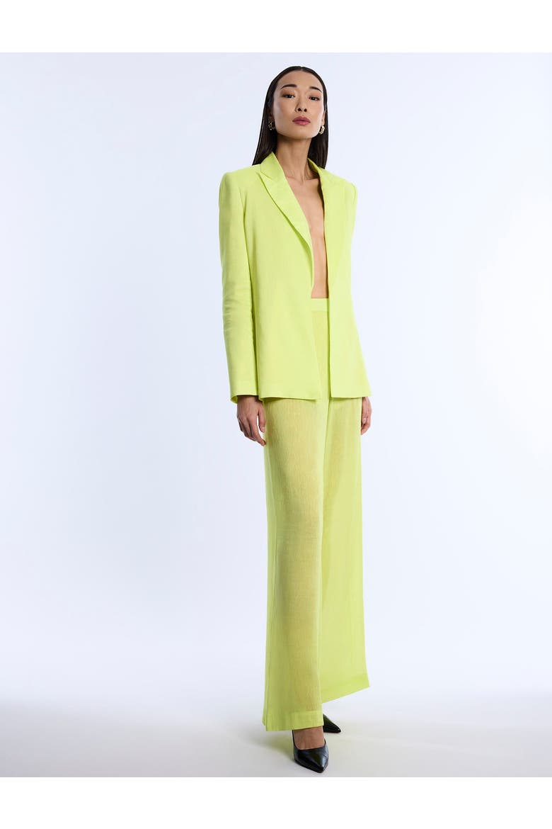 Airy Textured Blazer, Alternate, color, Chartreuse