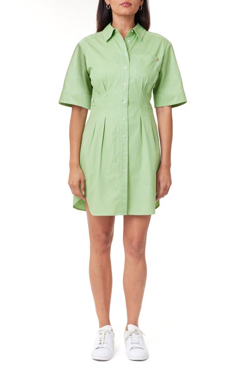 Scotch & Soda Stripe Structured Cotton Shirtdress In Pistachio