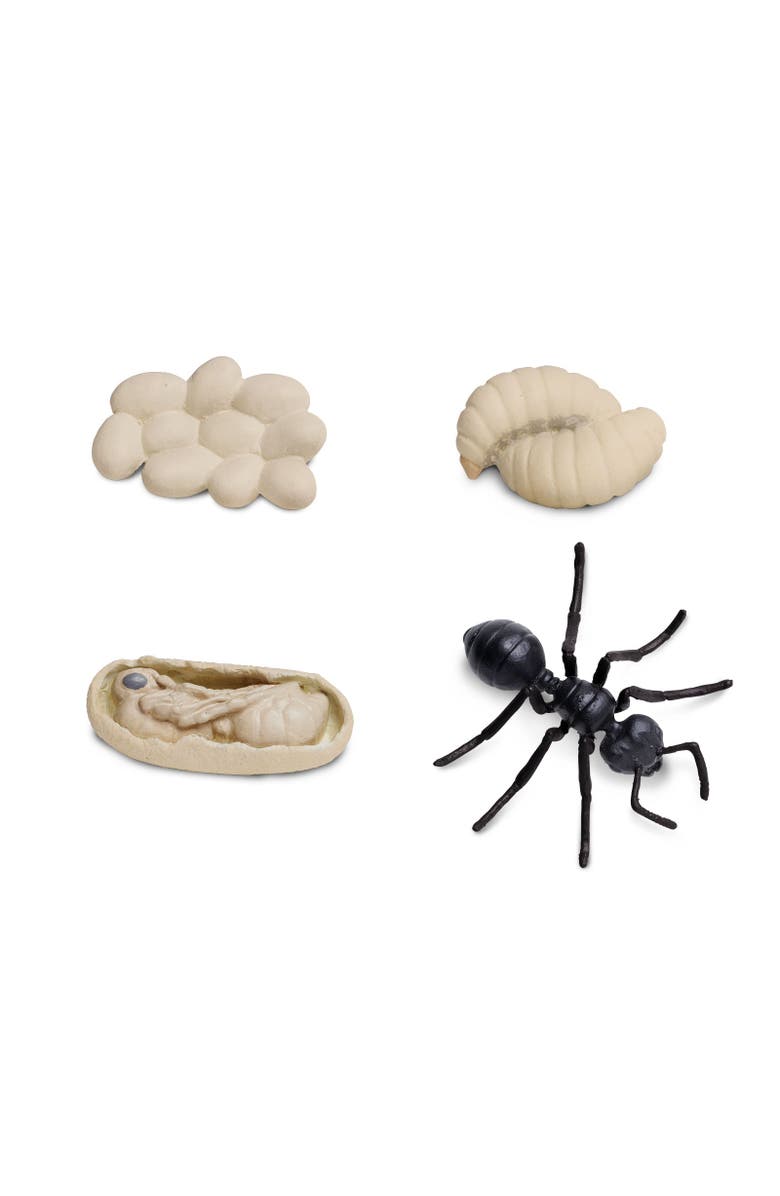 Safari Ltd. Life Cycle Of An Ant, Alternate, color, NO COLOR