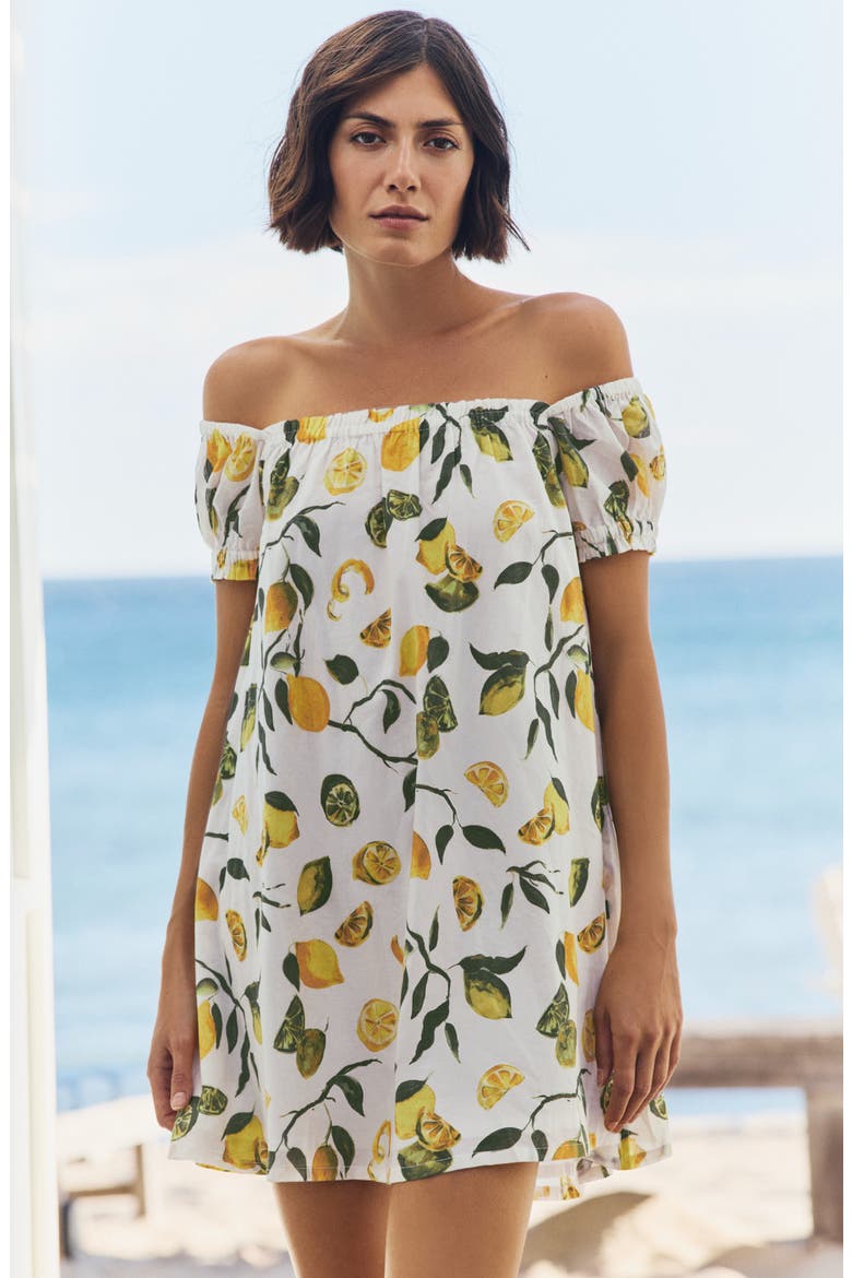 Lina Cinched Mini Dress, Alternate, color, Slice of Life
