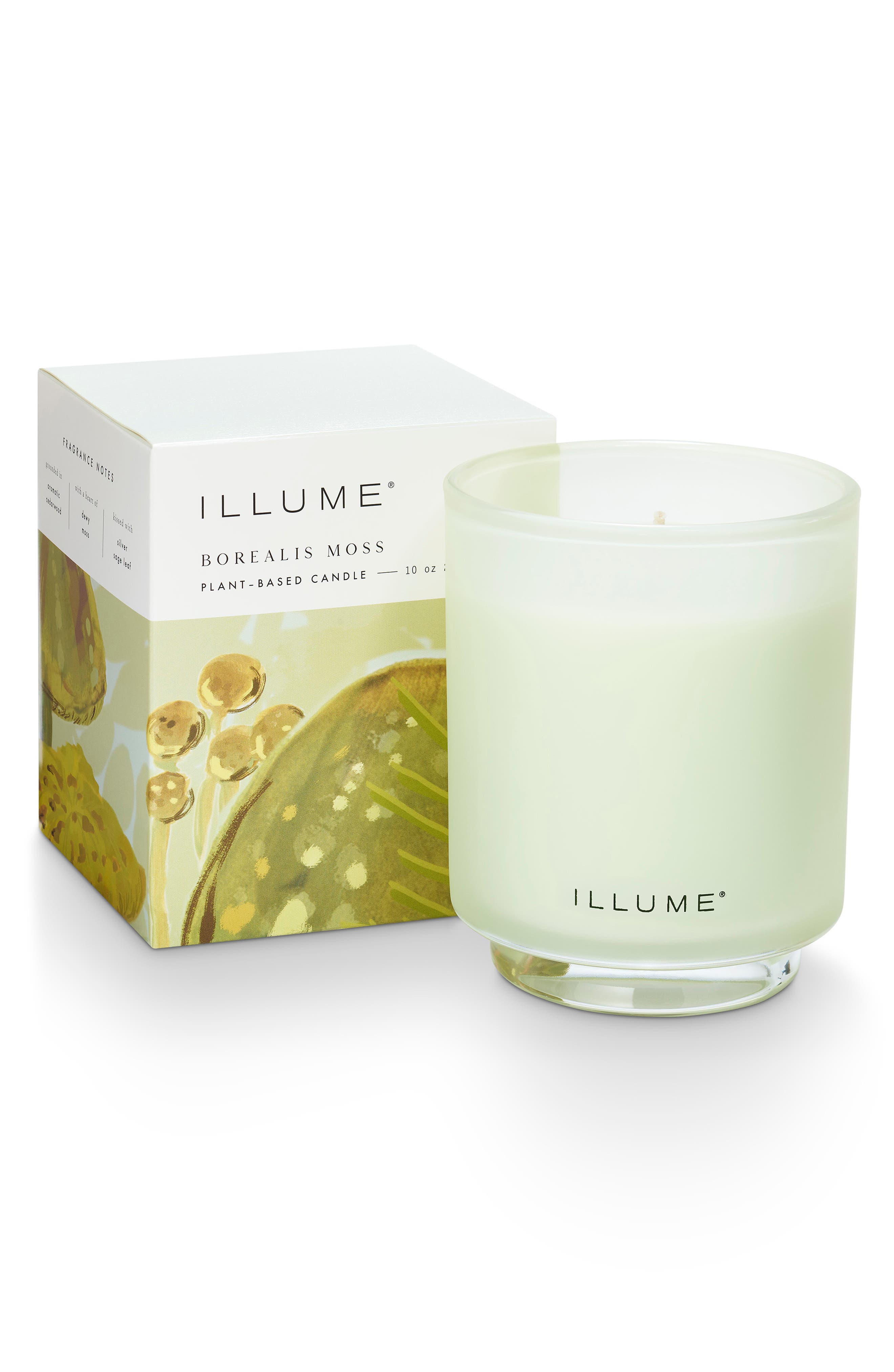 Borealis Moss Boxed Glass Candle