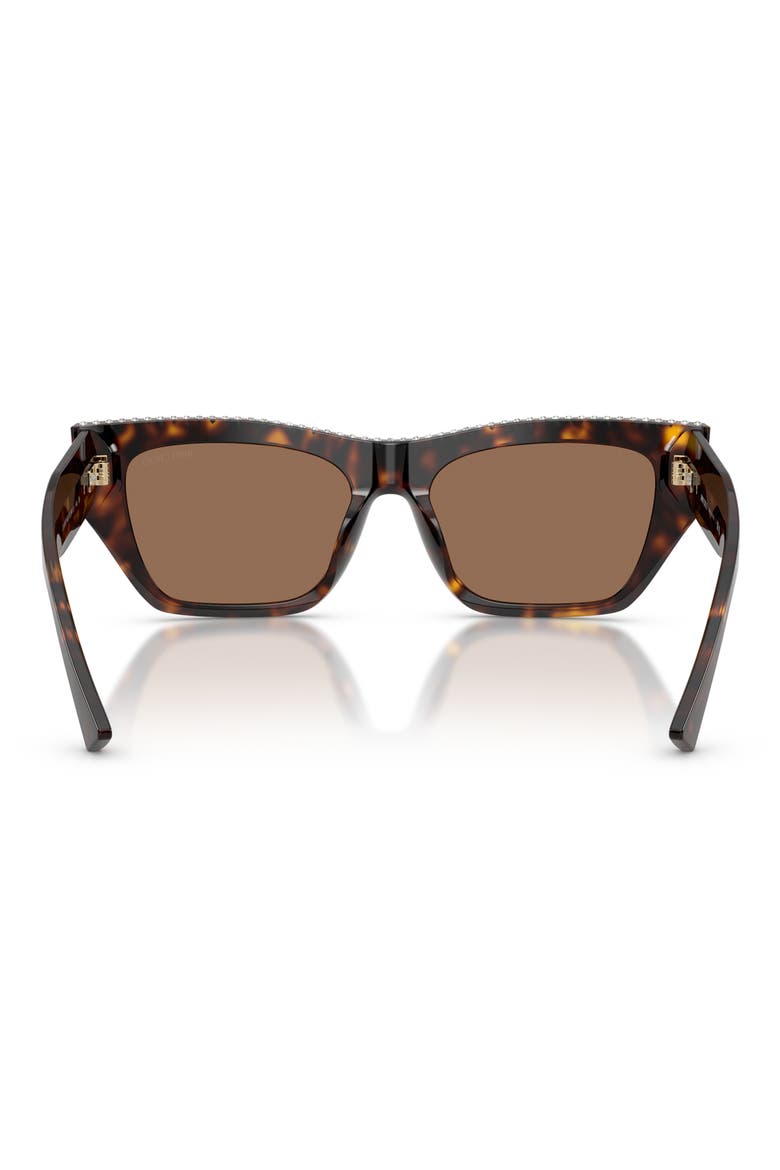 54mm Cat Eye Sunglasses, Alternate, color, HAVANA/ DARK BROWN