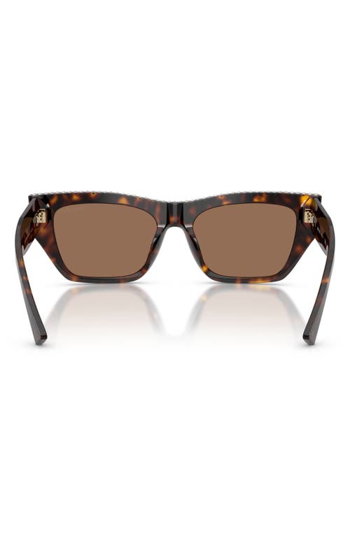 Jimmy Choo 54mm Cat Eye Sunglasses In Havana/dark Brown