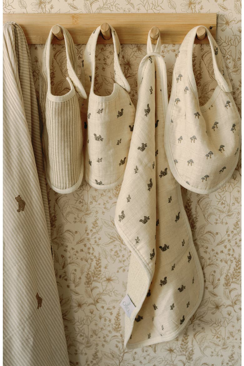 Assorted 2-Pack Organic Cotton Muslin Bibs, Alternate, color, MUSHROOMS/SQUIRRELS