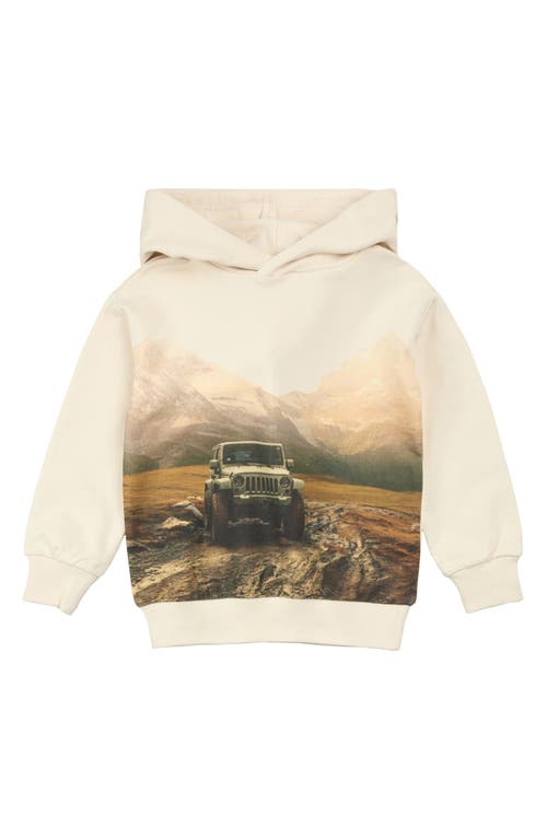 Miles The Label Kids' Trail & Trek Cotton Graphic Hoodie In Neutral