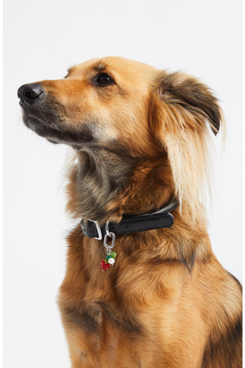 Pet Collar Charm, Alternate, color, STRAWBERRY