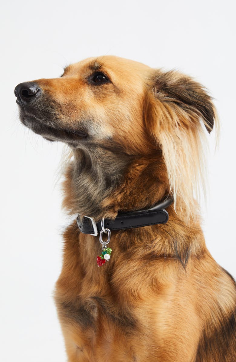 ossa Pet Collar Charm, Alternate, color, Strawberry