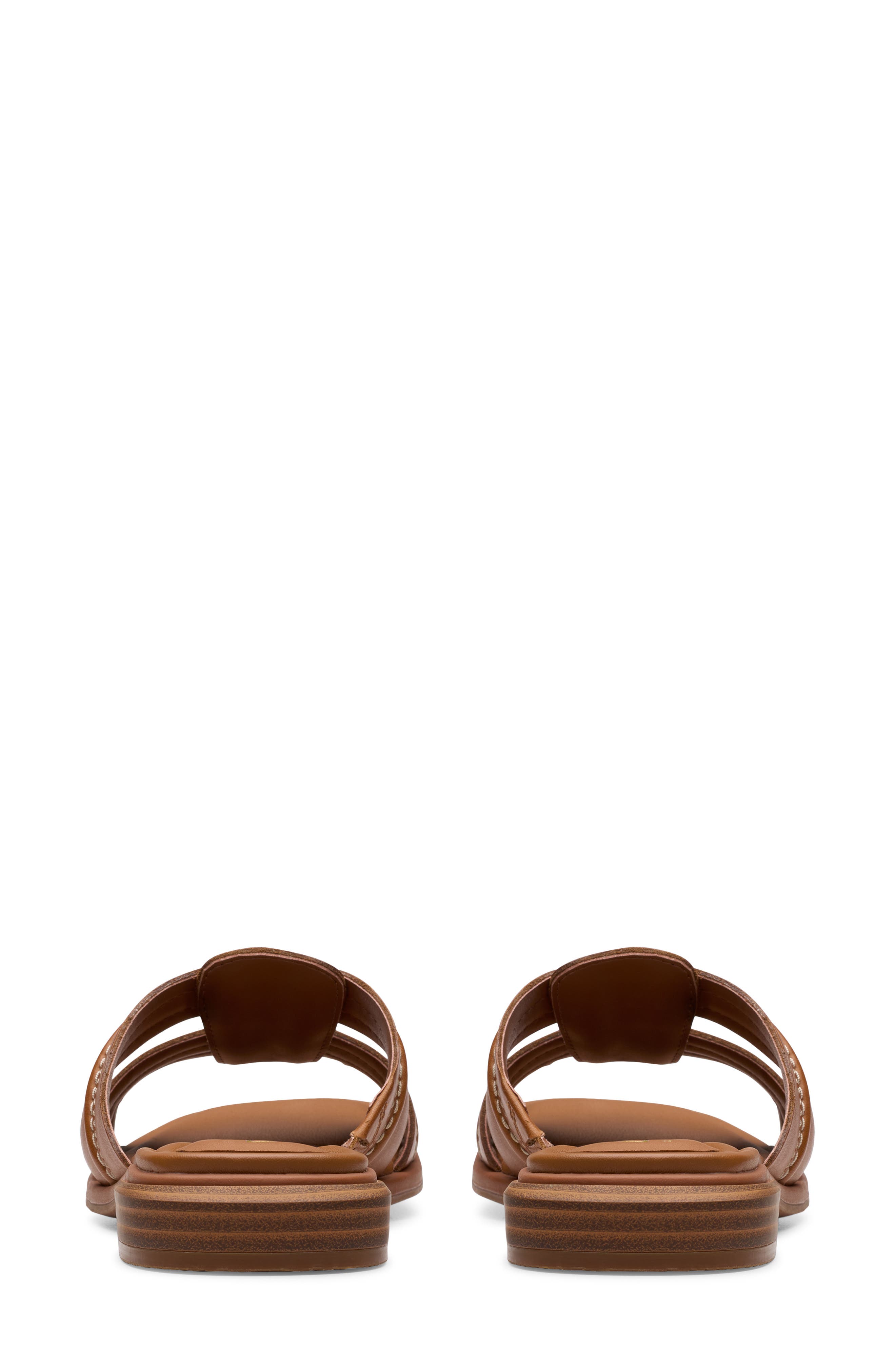 Ariany Mule - image 4