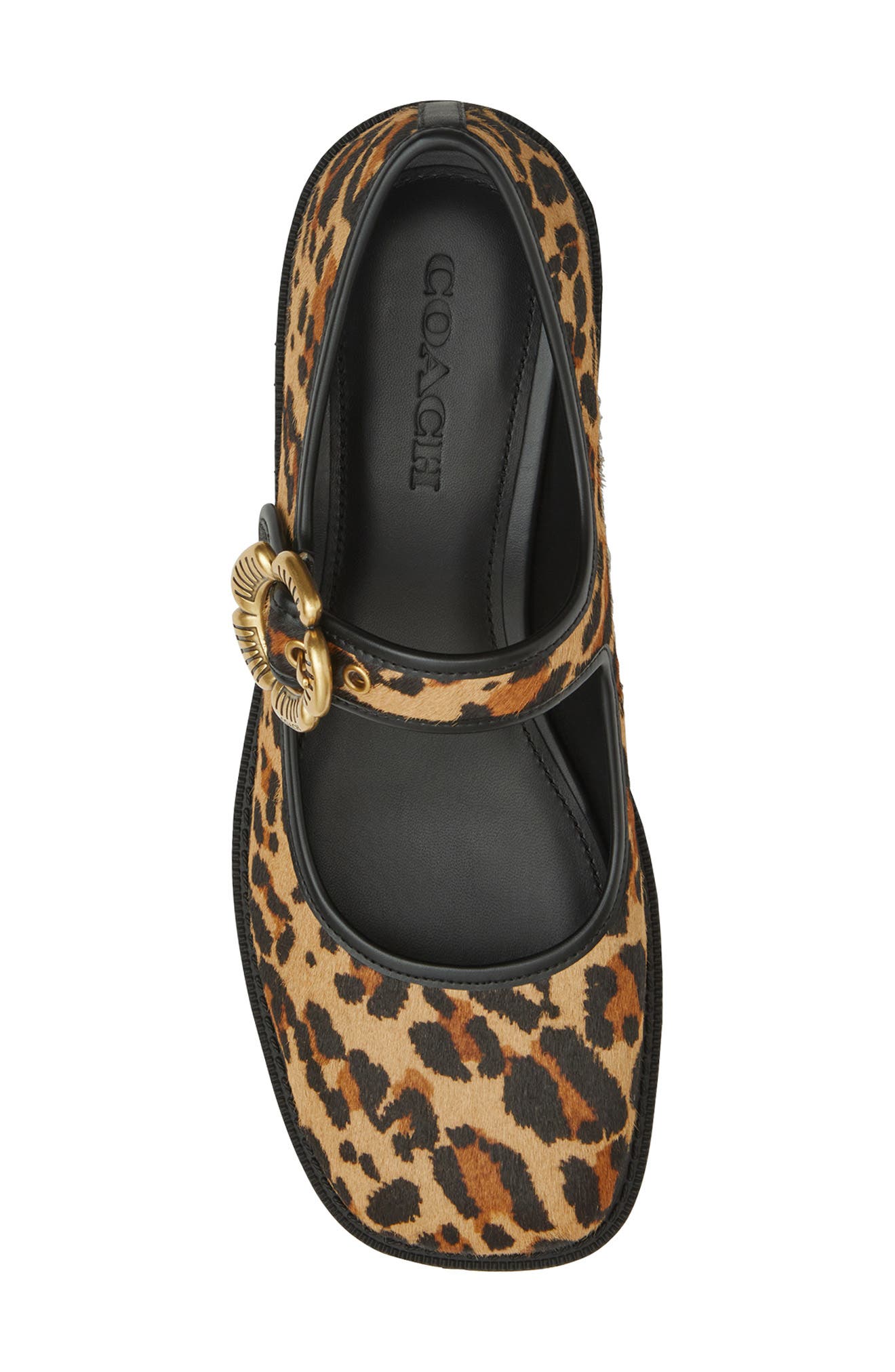 COACH Tea Rose Mary Jane Pump, Alternate, color, Natural Leopard