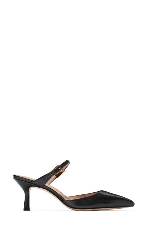 Cole Haan Annalise Pointed Toe Mule In Black