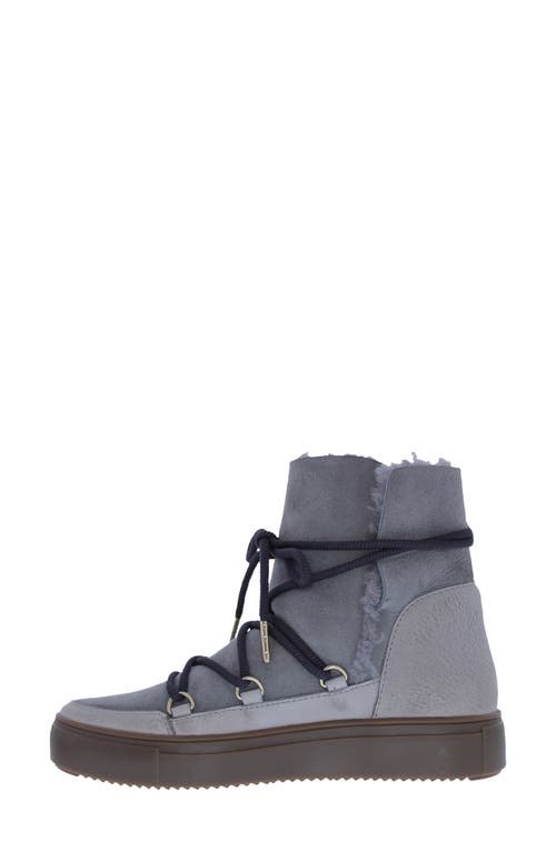 Blackstone Ul87 Genuine Shearling Lined Boot In Multi
