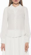 Alexia Admor Rah Covered Button-Down Top