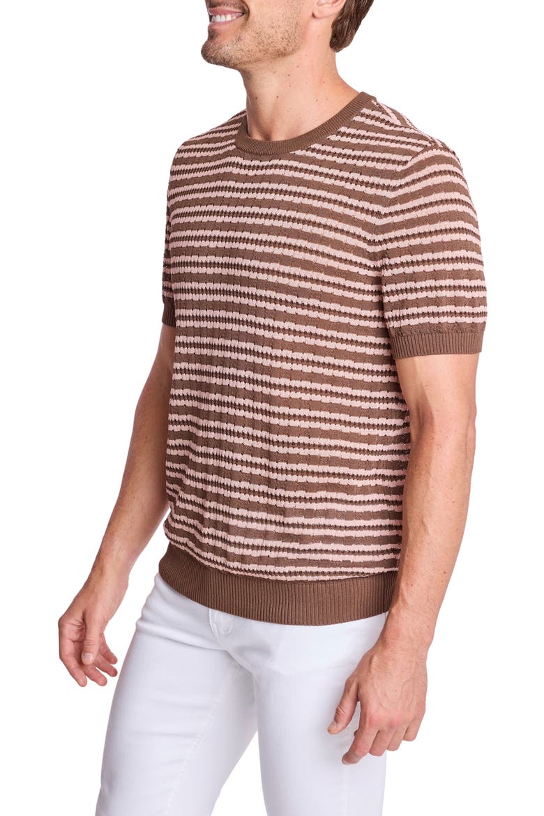 Stripe Short Sleeve Knit T-Shirt, Alternate, color, CHOCOLATE MOCHA BLUSH