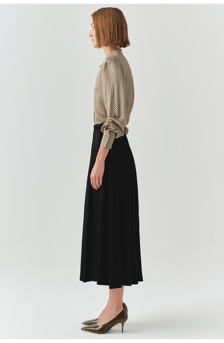 Exquise Sheer Viscose Maxi Skirt, Alternate, color, Black