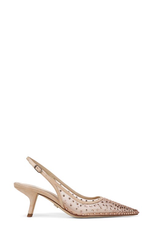 Sam Edelman Bianka Slingback Mesh Pointed Toe Pump In Nude